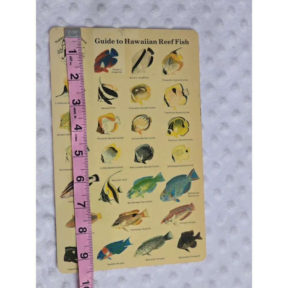 Vtg 1983 Guide to Hawaiian Reef Fish Plastic Card Natural World Press Ephemera